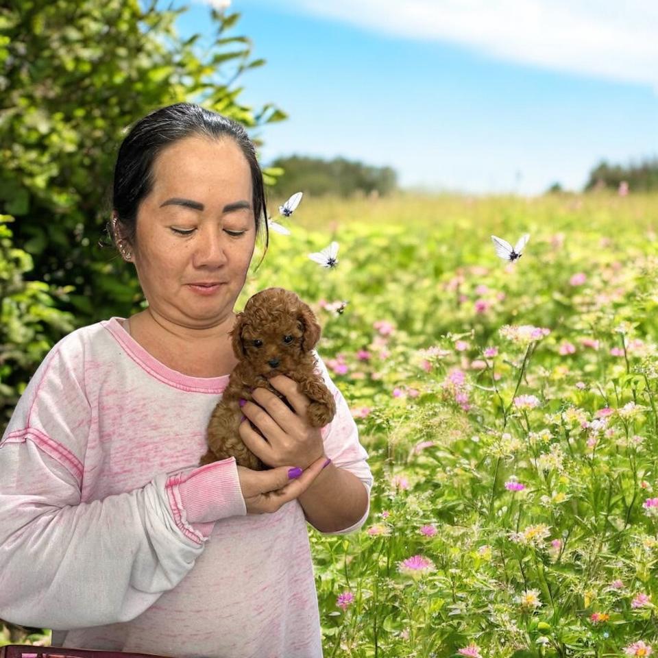 WhatsApp Image 2025-06-10 at 01.20.46_ff8854eb